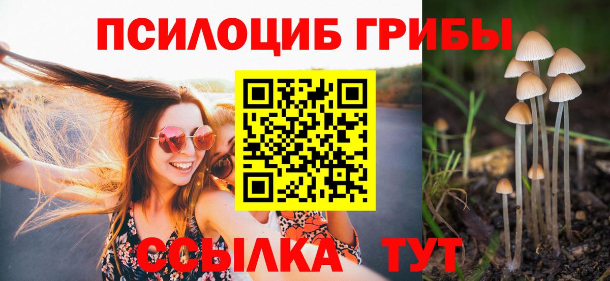 Псилоцибиновые грибы GOLDEN TEACHER Ревда