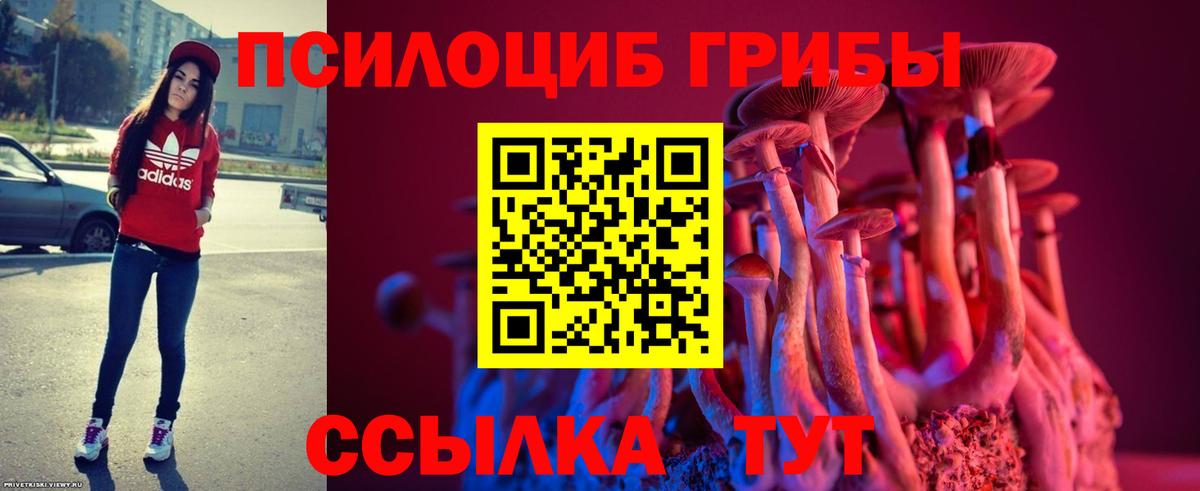 Галлюциногенные грибы мицелий  Псилоцибиновые грибы мухоморы  Вход с VPN  Ревда 